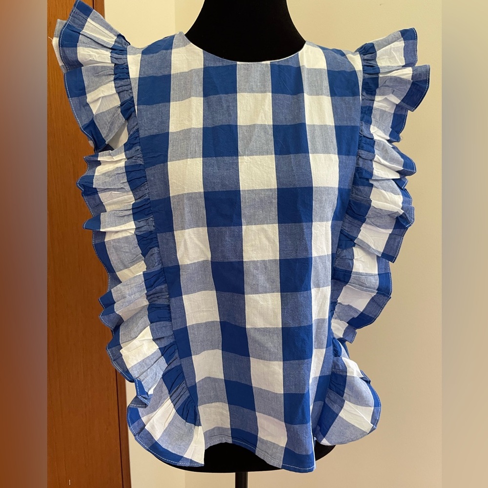 Anthropologie Blue and White Checkered Blouse